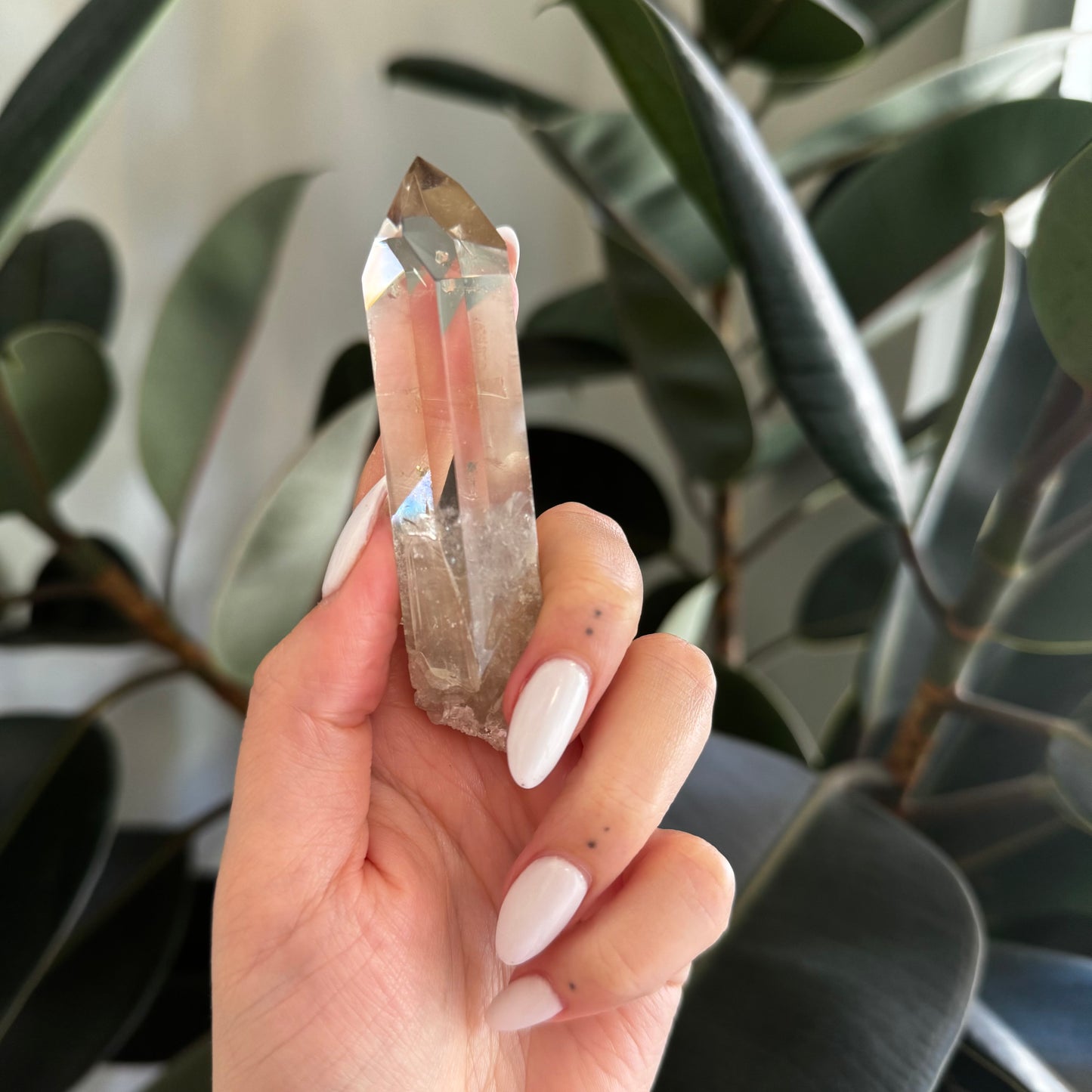 Rare Australian Citrine