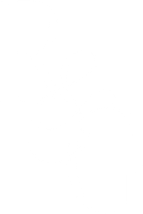 Rich & Grounded